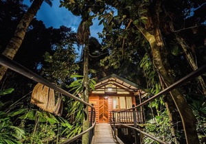 Daintree Wilderness Lodge