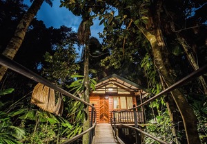 Daintree Wilderness Lodge