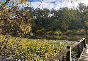 Daylesford House Studio- a cosy retreat just a short walk to the town centre