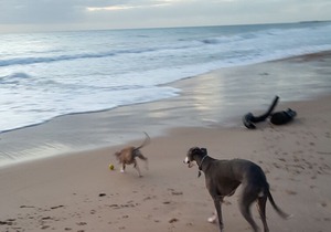 Holiday @ Christies Beach, Pet Friendly 🐾🐾