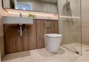 Lovely 1 bedroom with free park in Westmead