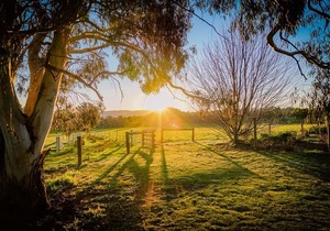 Mallum Creek Farm