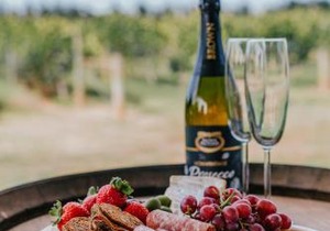 Milawa Vineyard Views - Guesthouse 2