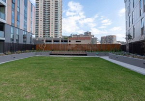 Modern Apartment in Darling Harbour