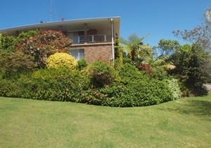 Pacific Drive 89