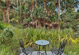 Palm Cove Retreat - Upstairs