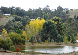 pamelas retreat