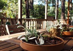 Property ID: 072AI137