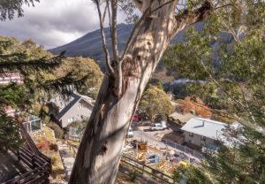 Pure Chalet Thredbo