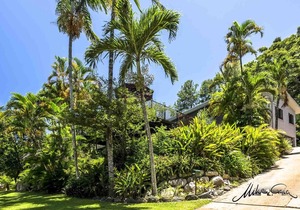 Rainforest Apartment