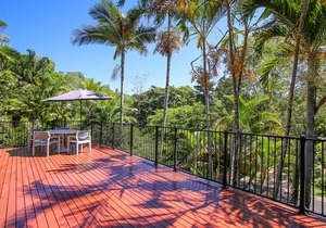 Rainforest Apartment