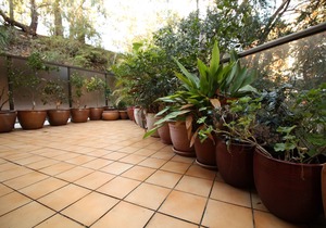RANDWICK-193SQM-BEACHSIDE-DINNING-SHOPS-TRANSPORT-POOL-SPA-SAUNA-GYM-240SQM YARD