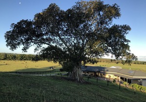 Spacious Granny’s Flat in The Shed@The Glen