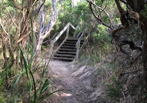 STUNNING Ocean views,quiet location, newly renovated/Central Cape Paterson/Wifi