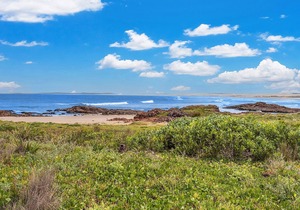 The First Wave 45A Ocean Avenue, Anna Bay - Stunning views & a short stroll from Birubi Beach