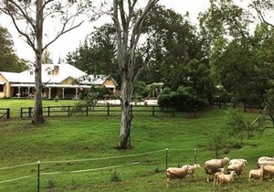 The Willows at Kurrajong