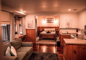 Valley View 1BR Studio cottage (No pets allowed)