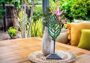 'Wallaby' at Savannah House