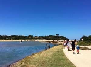 Anglesea River | Anglesea