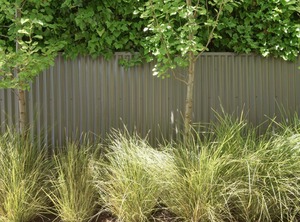 Arabella West | West Beach