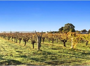 Discovery Parks Swan Valley | Caversham