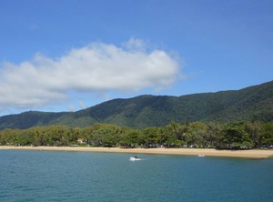 Drift Palm Cove | Palm Cove
