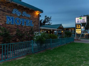 Fig Tree Motel | Narrandera