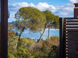 Hill St Nights | Merimbula