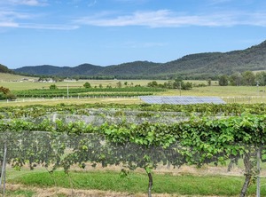 Somerville Wines Farm | Broke