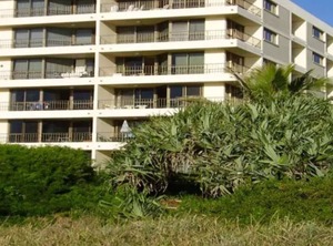Surfside The Beach | Palm Beach