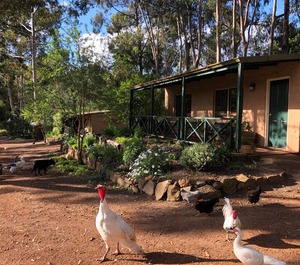 Country Cottages Of Bridgetown 