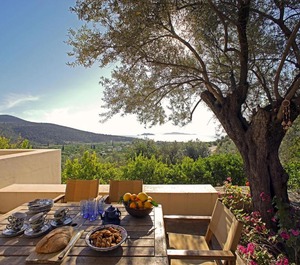 Epidaurus Olive Villa 