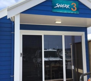 The Shark 