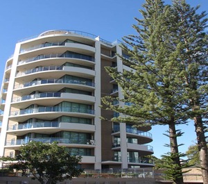 Pines Cbd 