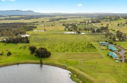 Lovedale Resort | 117 m² Resort ∙ 2 bedrooms ∙ 5 guests