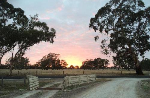 Tatiara Bed & Breakfast | 12 m² Bed and breakfast ∙ 3 guests