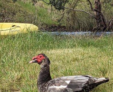 Hindmarsh Valley House | 18 m² Farmhouse ∙ 1 bedroom ∙ 2 guests
