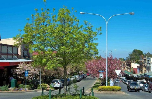 Blackheath House | 180 m² House ∙ 4 bedrooms ∙ 10 guests