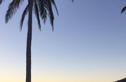 Airlie Beach Bed & Breakfast | 19 m² Bed and breakfast ∙ 2 guests