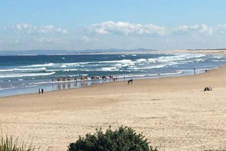 Corlette Bed & Breakfast | 29 m² Bed and breakfast ∙ 2 guests