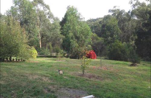 Cockatoo Cabin | 29 m² Lodge ∙ 2 guests
