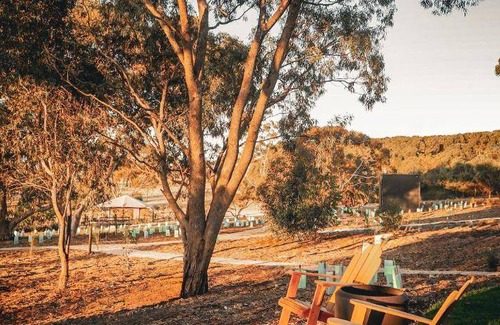 Seppeltsfield Hotel | 39 m² Hotel ∙ 5 guests