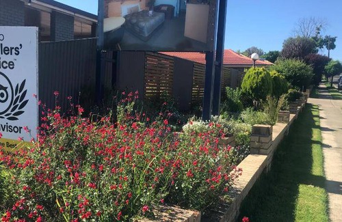 Tenterfield Hotel | 40 m² Motel ∙ 6 guests