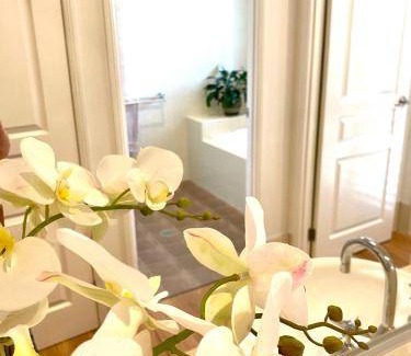 Casuarina Apartment | 50 m² Apartment ∙ 2 bedrooms ∙ 4 guests