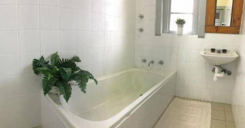 Katoomba Hostel | 50 m² Hostel ∙ 127 guests