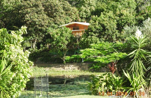 Tallai House | A Midsummer Night's Dream