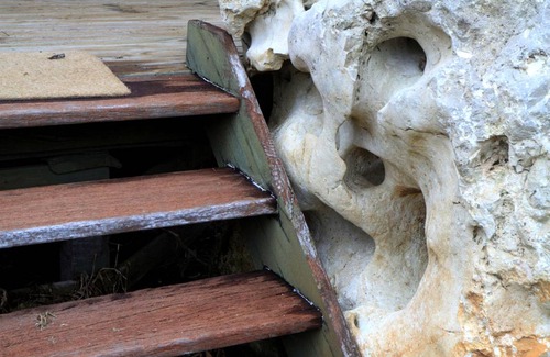 Dismal Swamp Other | Accommodation ∙ 1 bedroom ∙ 8 guests