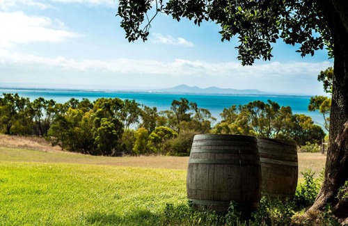Bellarine Other | Camping ∙ 1 bedroom ∙ 4 guests