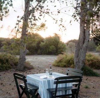 Nangkita House | Historic Cottage with private Hiking trails & private waterfront