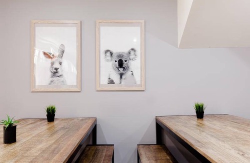 Chippendale Hostel | Hostel ∙ 8 guests
